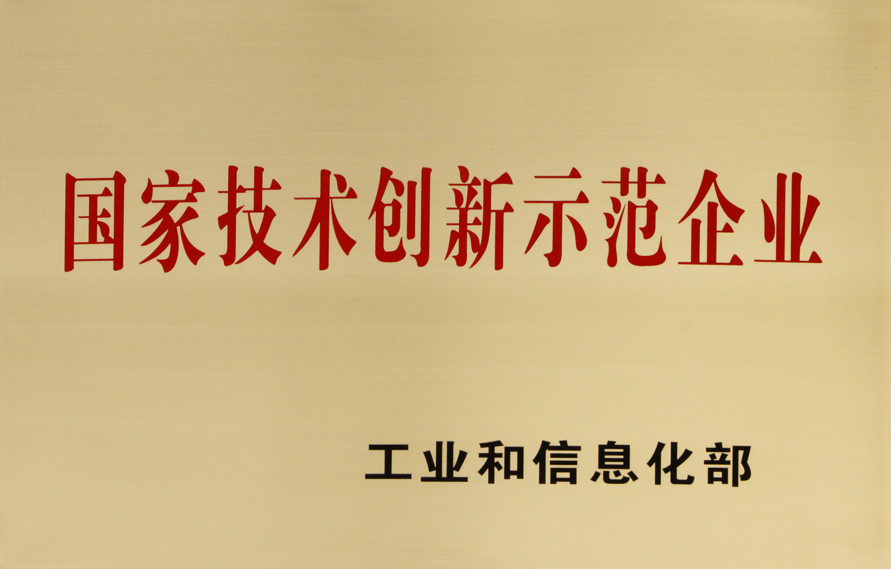 国家技术创新示范企业